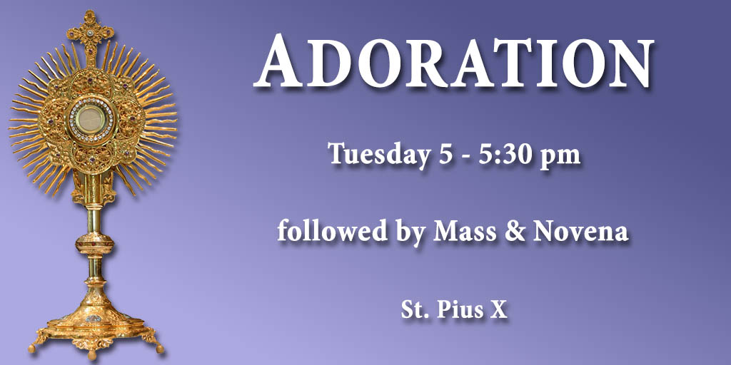 Adoration
Tuesday 5 - 5:30 pm followed by Mass & Novena
St. Pius X, 316 Somerset St.