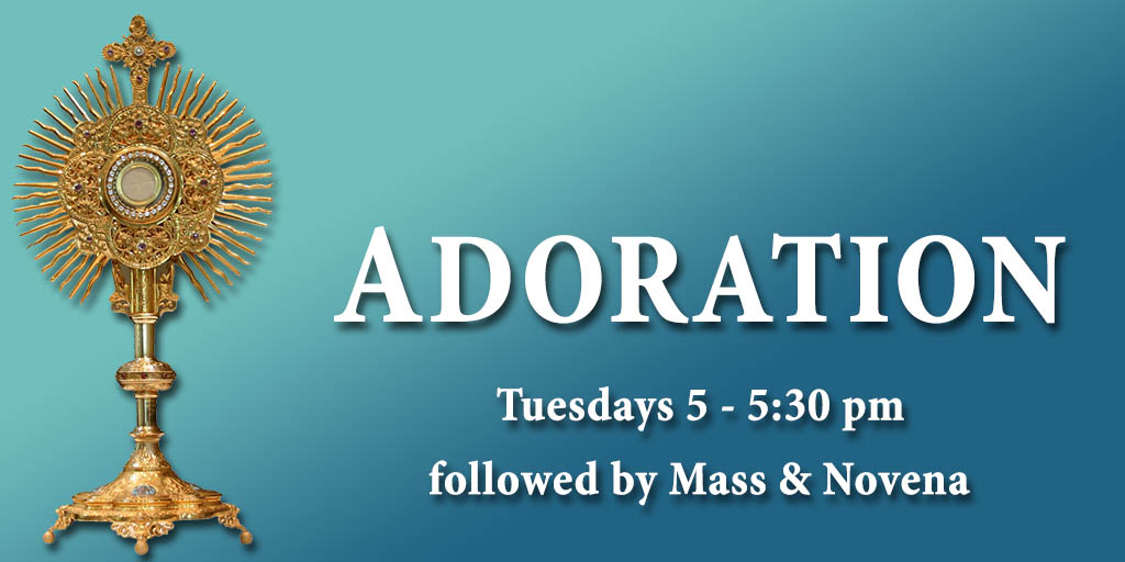 Adoration
Tuesday 5 - 5:30 pm followed by Mass & Novena