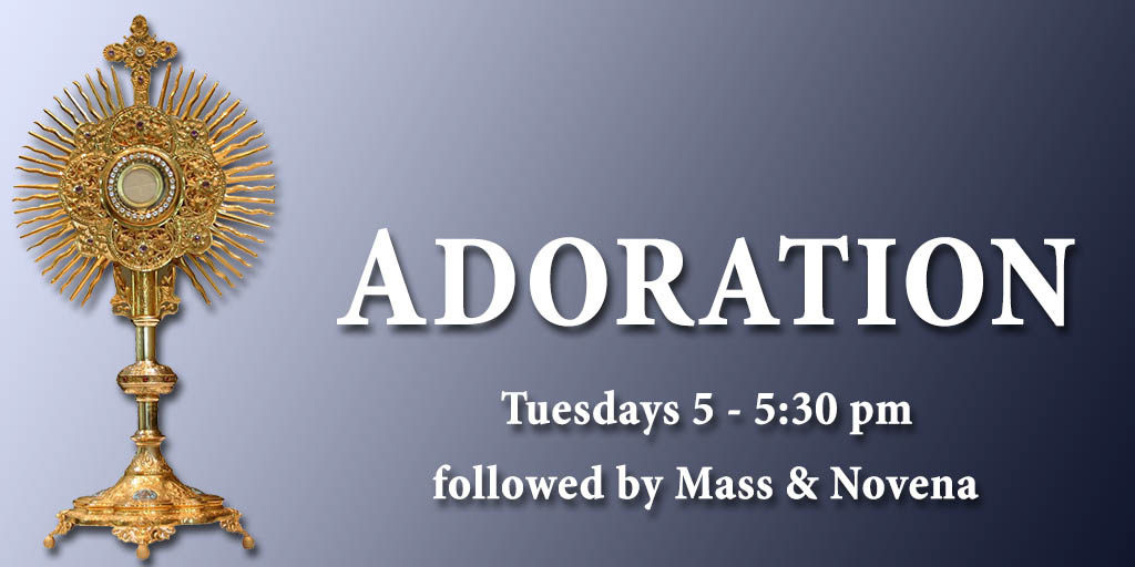 Adoration
Tuesday 5 - 5:30 pm followed by Mass & Novena