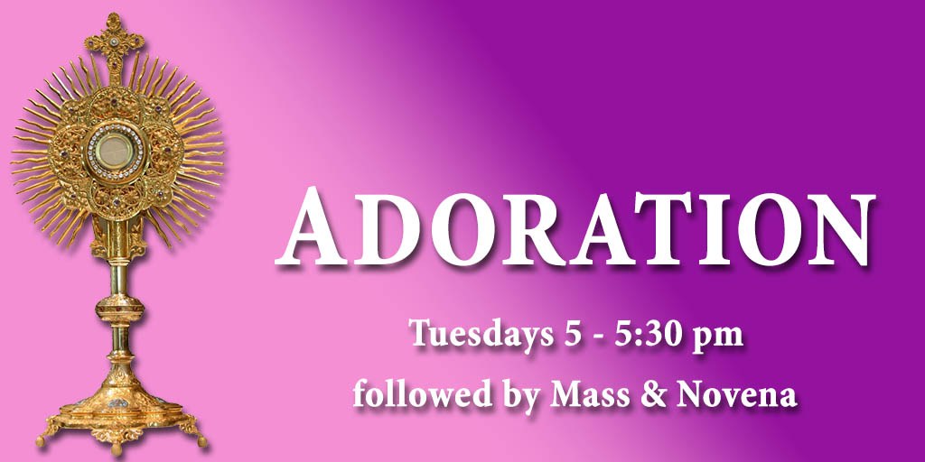 Adoration
Tuesday 5 - 5:30 pm followed by Mass & Novena