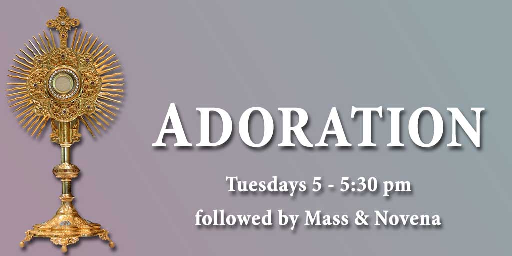 Adoration
Tuesday 5 - 5:30 pm followed by Mass & Novena