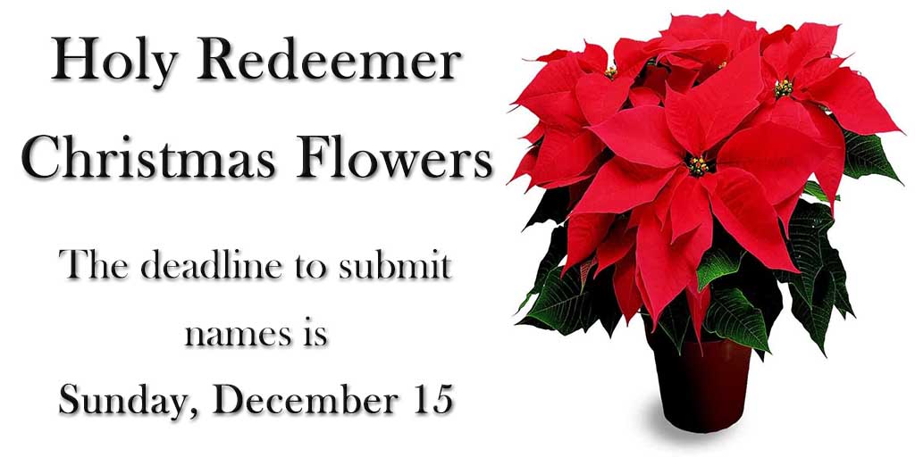 Holy Redeemer
Christmas Flowers
The deadline to submit
names is
Sunday, December 15