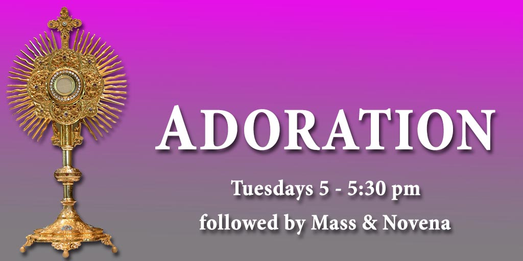 Adoration
Tuesdays 5 - 5:30 pm followed by Mass & Novena