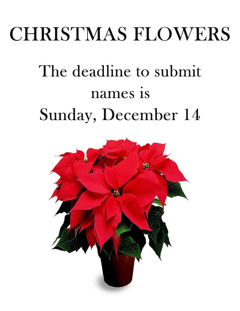 Christmas Flowers
The deadline to submit names is
Sunday, December 14.
