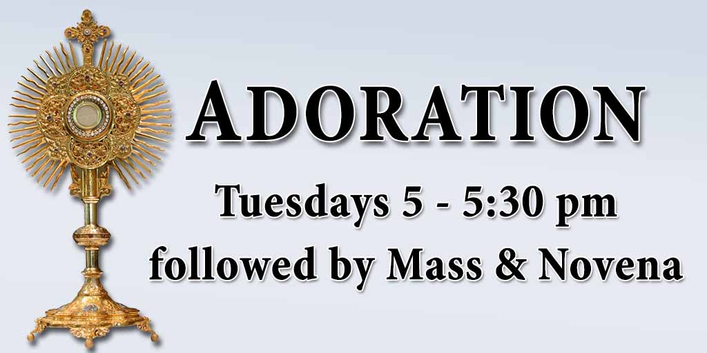 Adoration
Tuesdays 5 - 5:30 pm followed by Mass & Novena