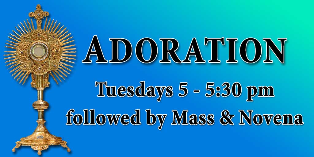 Adoration
Tuesdays 5 - 5:30 pm followed by Mass & Novena