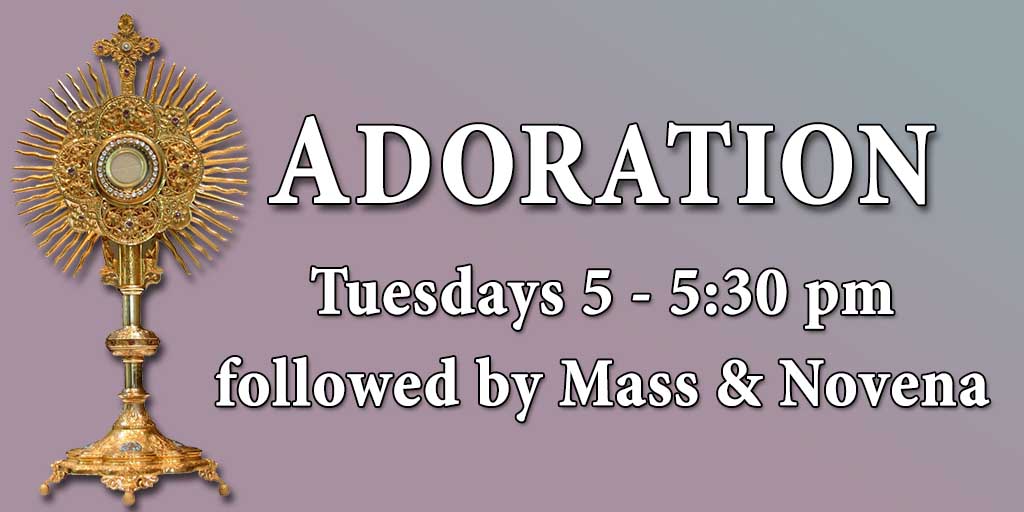 Adoration
Tuesdays 5 - 5:30 pm followed by Mass & Novena