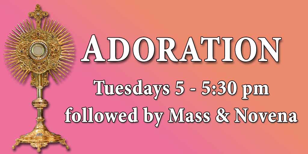Adoration
Tuesdays 5 - 5:30 pm followed by Mass & Novena